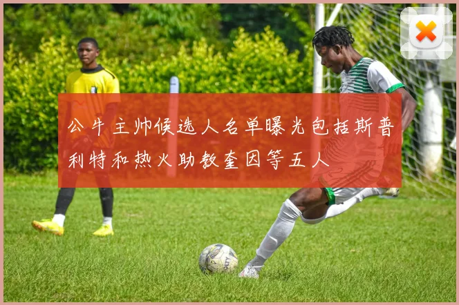 公牛主帅候选人名单曝光包括斯普利特和热火助教奎因等五人