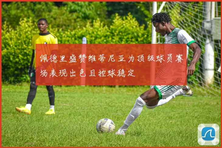 佩德里盛赞维蒂尼亚为顶级球员赛场表现出色且控球稳定