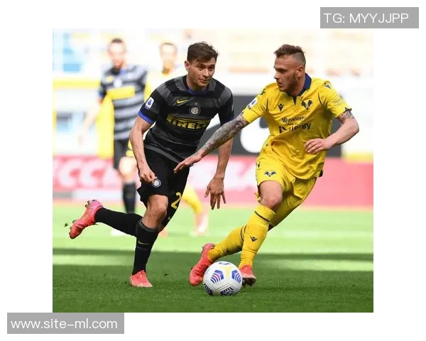 意甲分析：维罗纳面临困境难以反弹前景堪忧